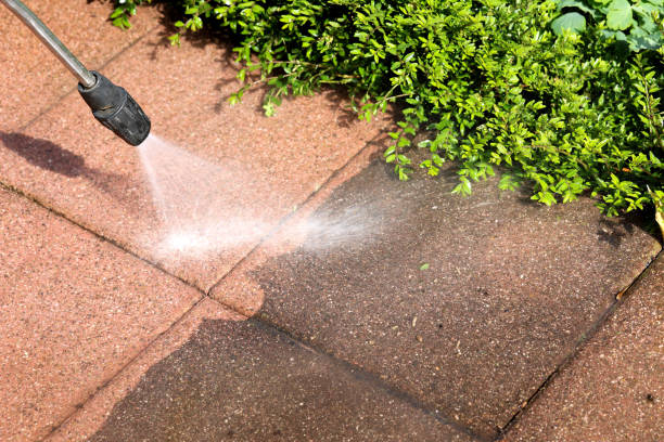 Best Roof Pressure Washing  in Honea Path, SC